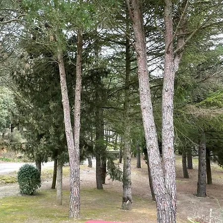L'exotica ,au Coeur D'une Pinede Vakantiehuis Palaja