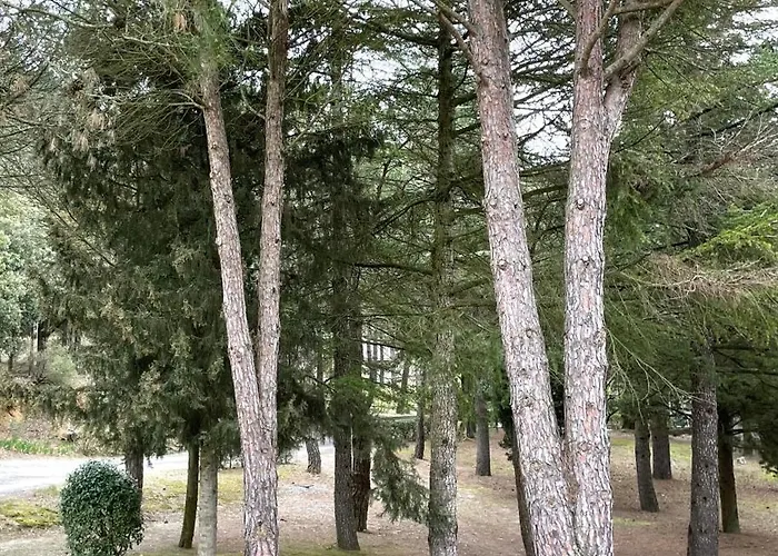 L'exotica ,au Coeur D'une Pinede Semesterbostad Palaja